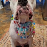 Entry image for Chase