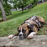 Entry image for Nora