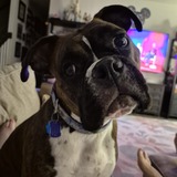 Entry image for Grace