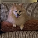 Entry image for Bella