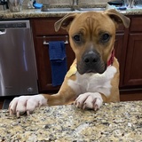 Entry image for Cinco