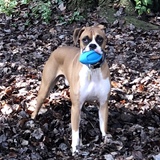 Entry image for Ozzy