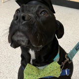 Entry image for Jasper Ira Thompson