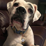 Entry image for Thompson