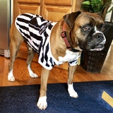 Entry image for Henry Cooper 