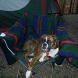 Entry image for Penny