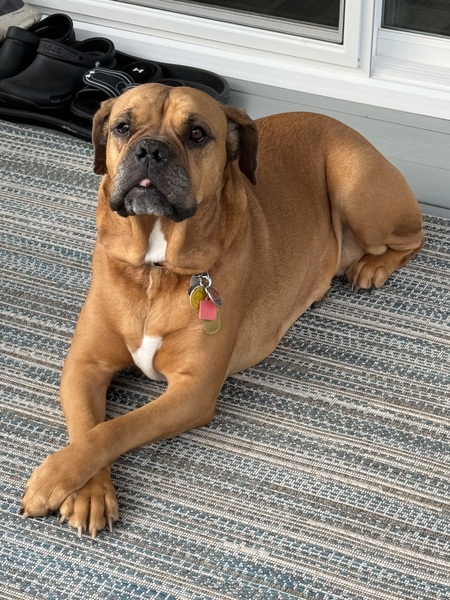 Entry image for Cyd. Clicking this image will show a larger photo