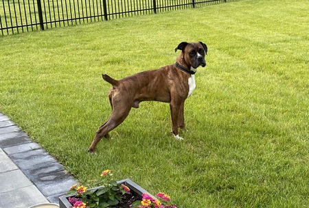 Entry image for Gump. Clicking this image will show a larger photo