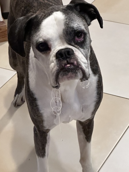 Entry image for Neptune. Clicking this image will show a larger photo