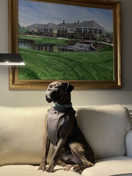 Entry image for Russell. Clicking this image will show a larger photo