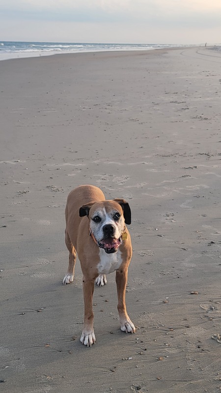 Entry image for Ruthie. Clicking this image will show a larger photo