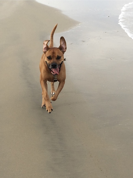 Entry image for Trevor. Clicking this image will show a larger photo