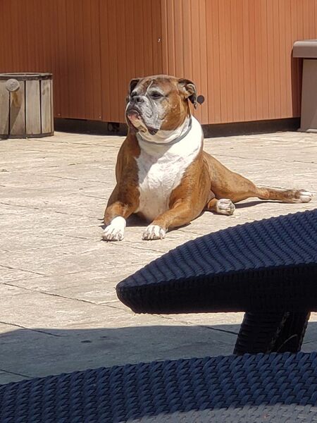 Entry image for Spencer. Clicking this image will show a larger photo