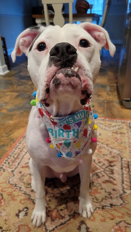 Entry image for Chase. Clicking this image will show a larger photo