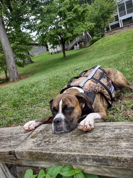 Entry image for Nora. Clicking this image will show a larger photo