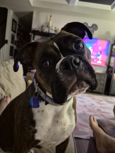 Entry image for Grace. Clicking this image will show a larger photo