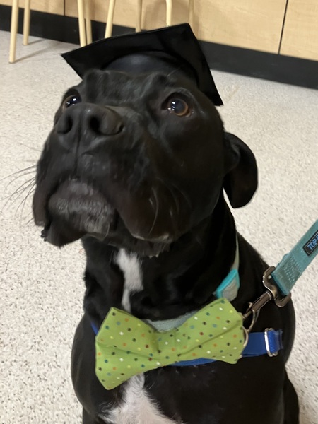 Entry image for Jasper Ira Thompson. Clicking this image will show a larger photo