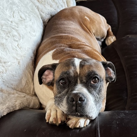 Entry image for Martha. Clicking this image will show a larger photo