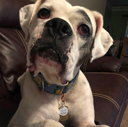 Entry image for Thompson. Clicking this image will show a larger photo