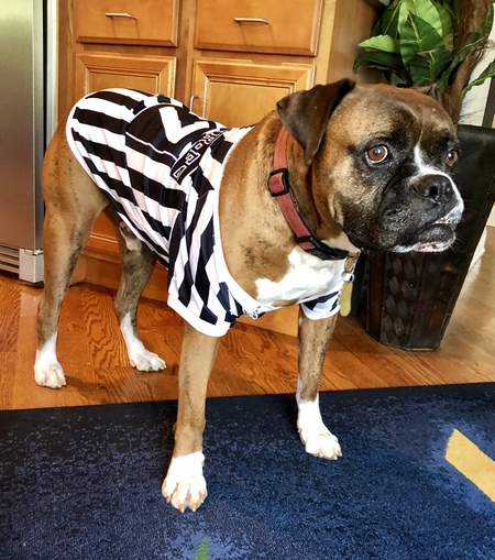 Entry image for Henry Cooper . Clicking this image will show a larger photo