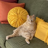 Entry image for Randall