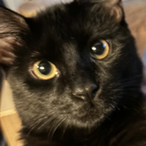 Entry image for Charles