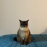 Entry image for Eloise