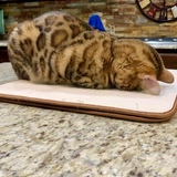 Entry image for Pixi aka Tooty 