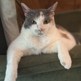 Entry image for Tiny