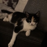 Entry image for Finley Grace