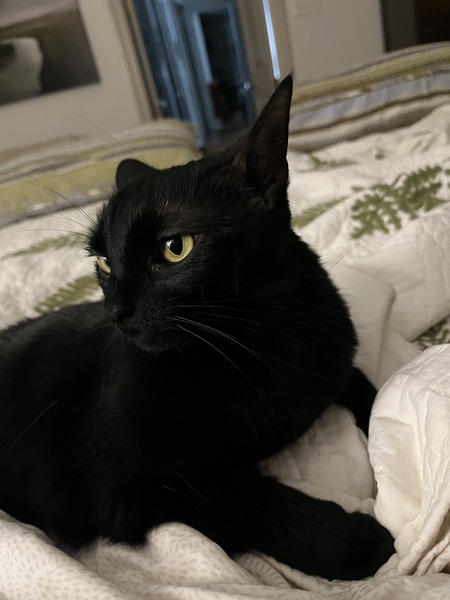 Margo 