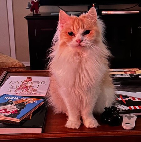 Entry image for Crookshanks. Clicking this image will show a larger photo