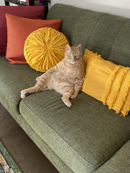 Entry image for Randall. Clicking this image will show a larger photo