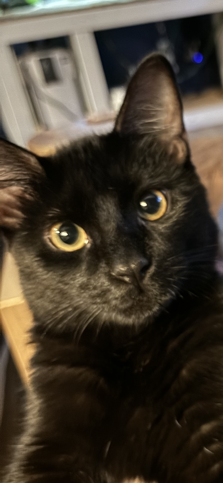 Entry image for Charles. Clicking this image will show a larger photo