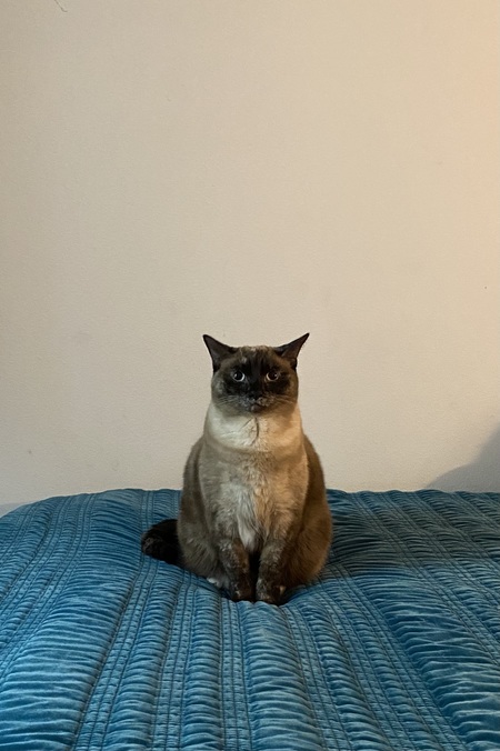 Entry image for Eloise. Clicking this image will show a larger photo