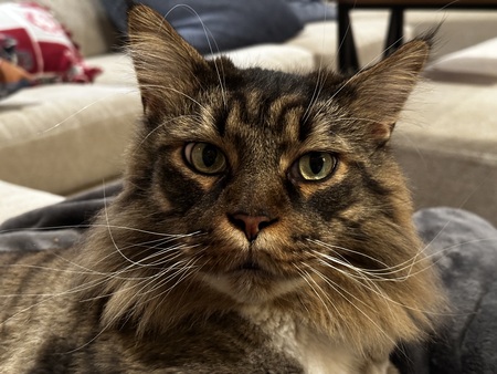 Entry image for Leif. Clicking this image will show a larger photo