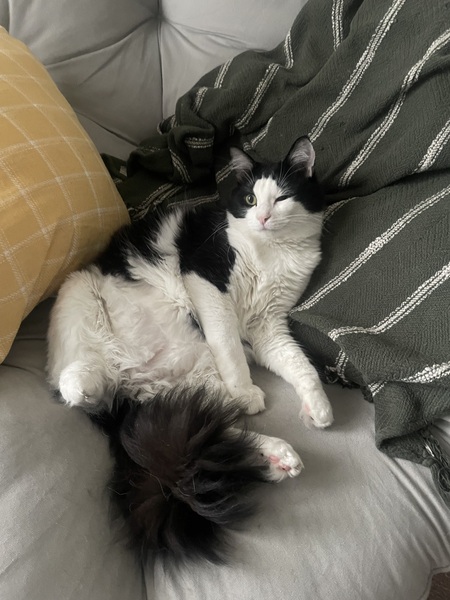 Entry image for Sushi. Clicking this image will show a larger photo