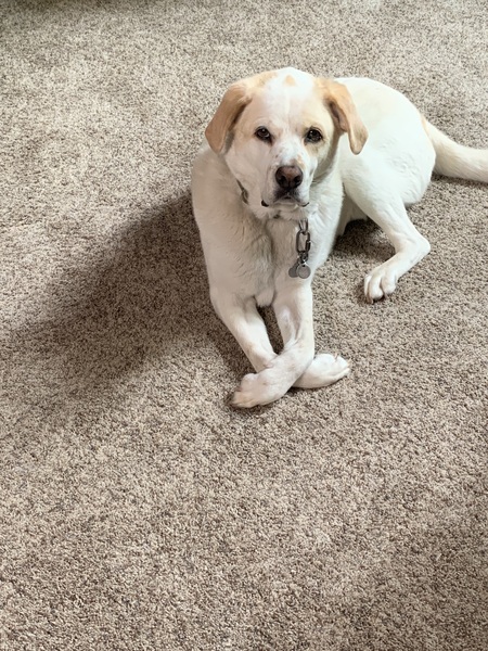 Odin