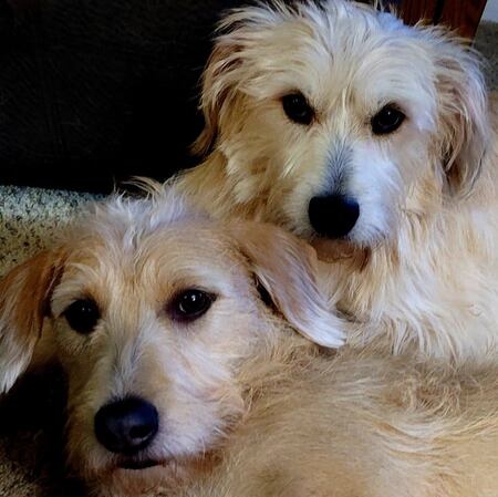 Betty and Benji
