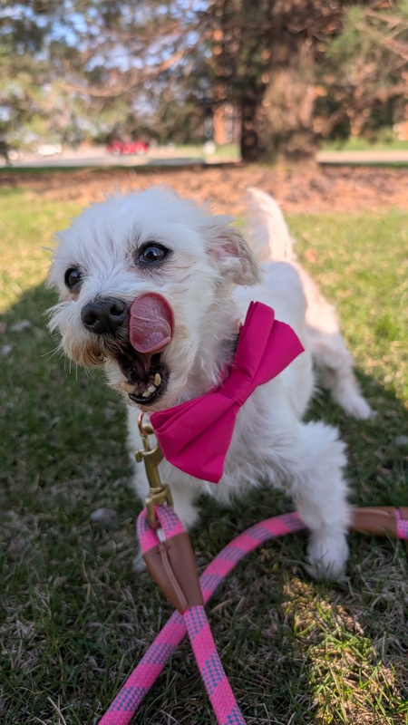 Mia Malt