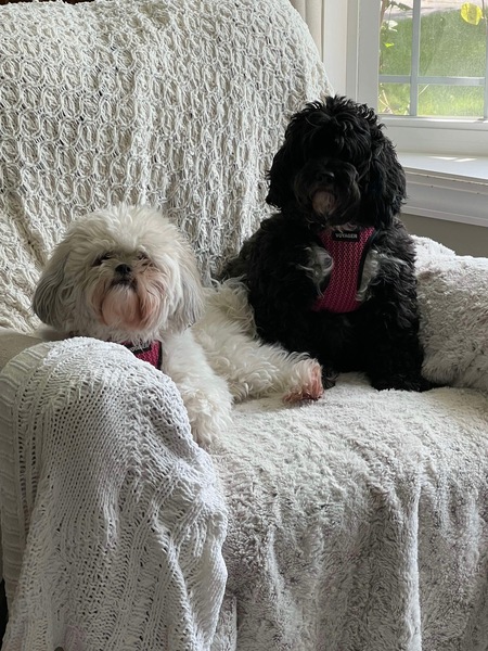 Nelly & Stella
