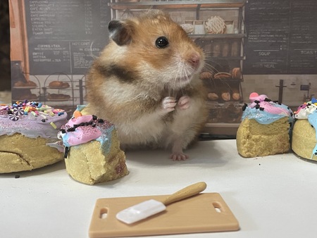 Hammy