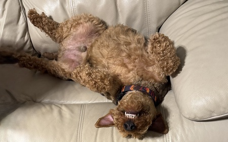 Rusty