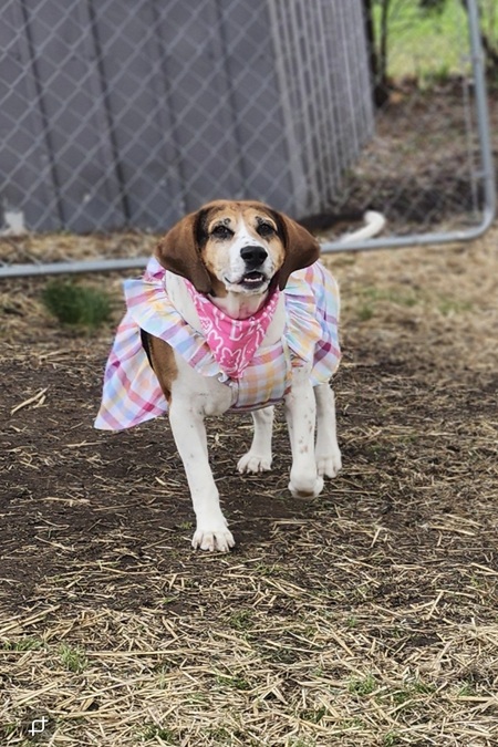 Miss Ruby Rue