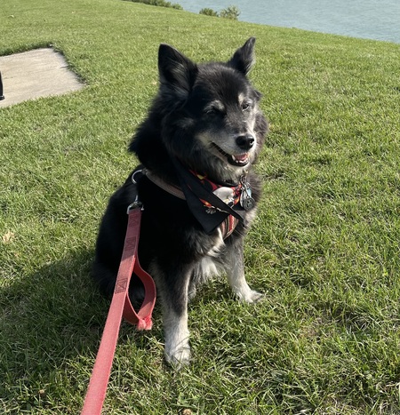 Dakota