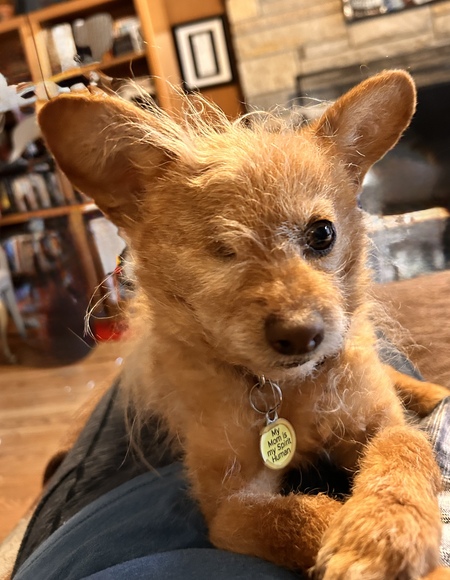 Truman