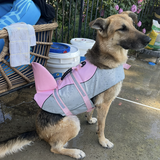 Entry image for Lola