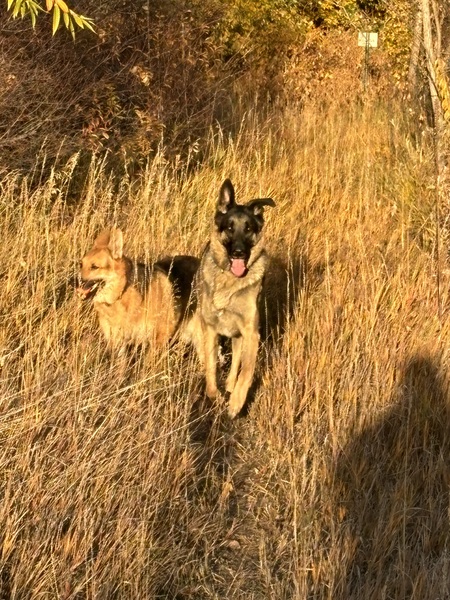 Sammie & Henri