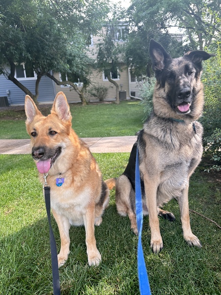 Sammie & Henri