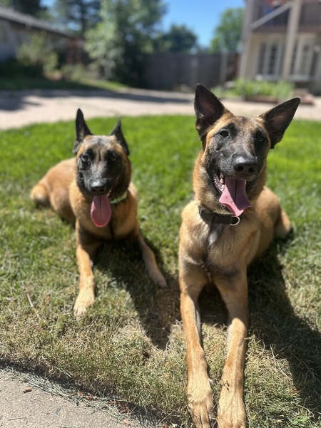 Fawn & Mila